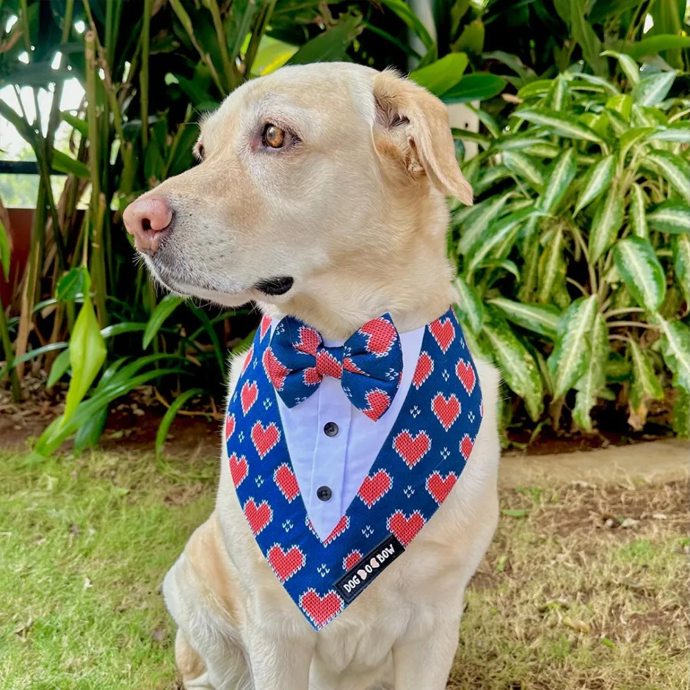 Dogobow Hearty Print Tuxedo Bandana for Dogs (Blue/Red)