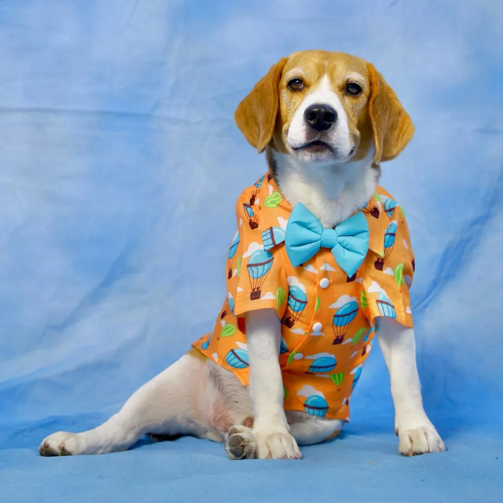 Dogobow Hot air Ballon Print Shirt for Dogs (Orange/Blue)