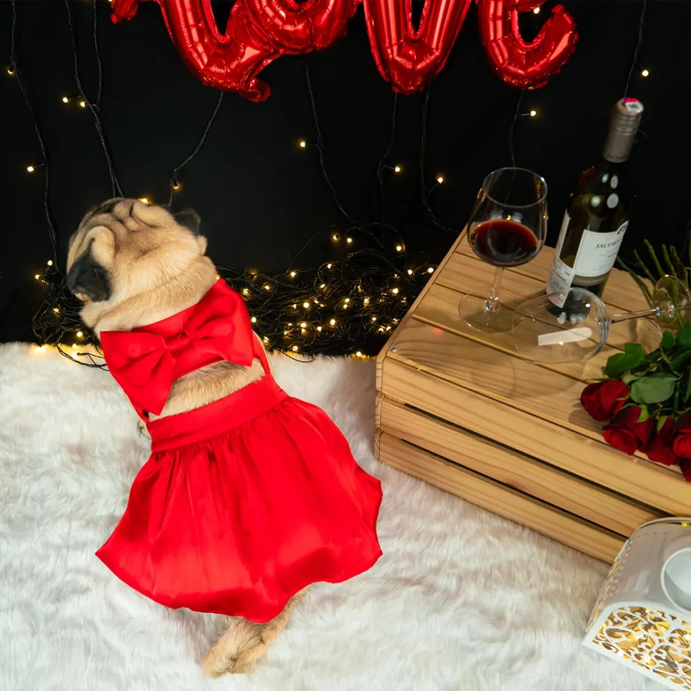Dogobow Little Dress for Cats and Dogs (Red)