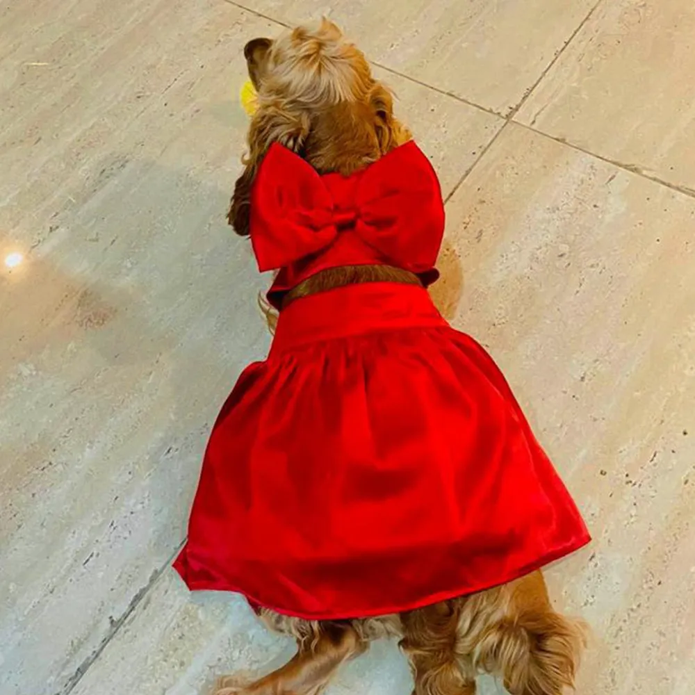 Dogobow Little Dress for Cats and Dogs (Red)