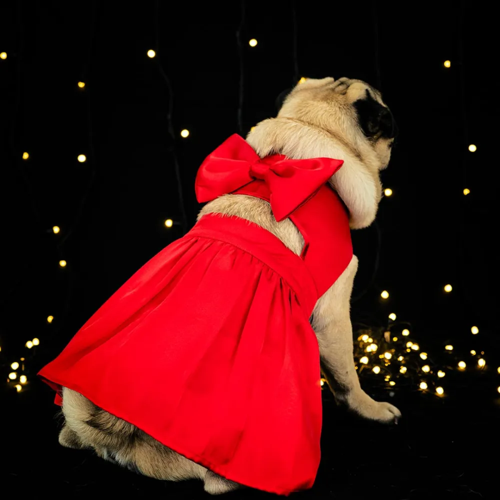 Dogobow Little Dress for Cats and Dogs (Red)
