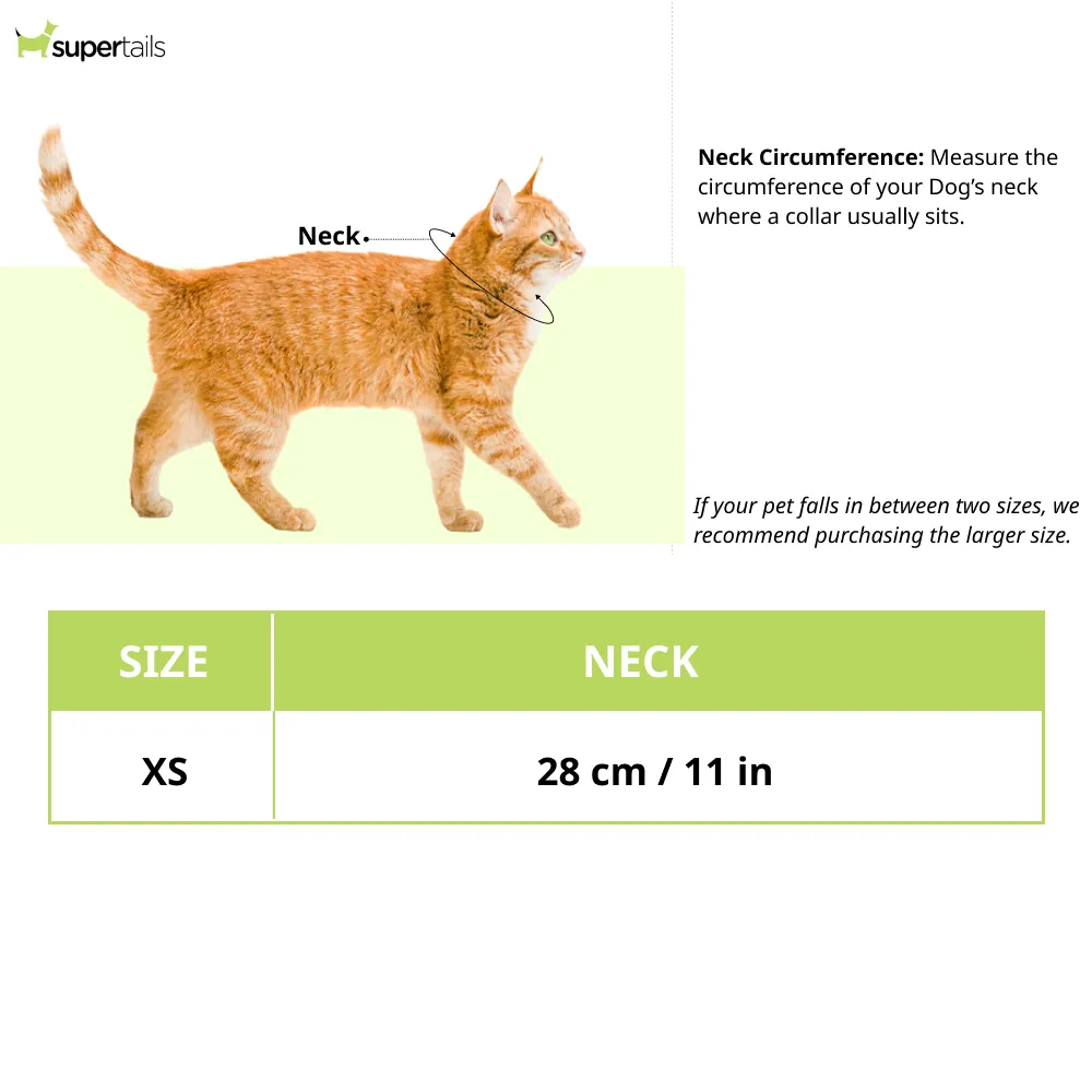 Dogobow Net Ribbon Neck Tutu for Dogs and Cats (Cream) (Get a Bow Free)