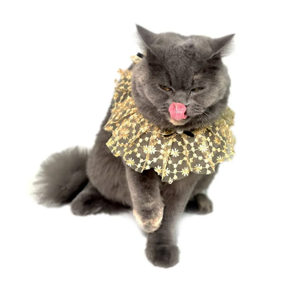 Dogobow Net Ribbon Neck Tutu for Dogs and Cats (Cream) (Get a Bow Free)