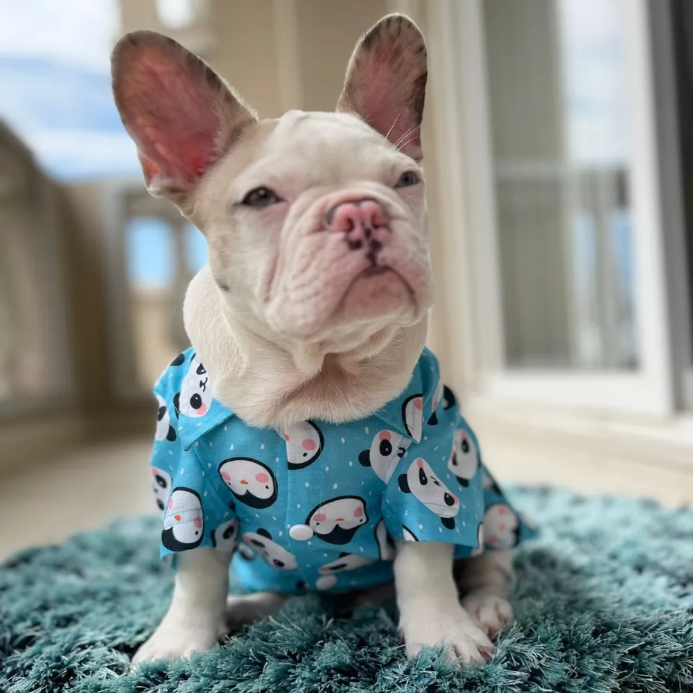 Dogobow Panda Print Shirt for Dogs (Blue/White)