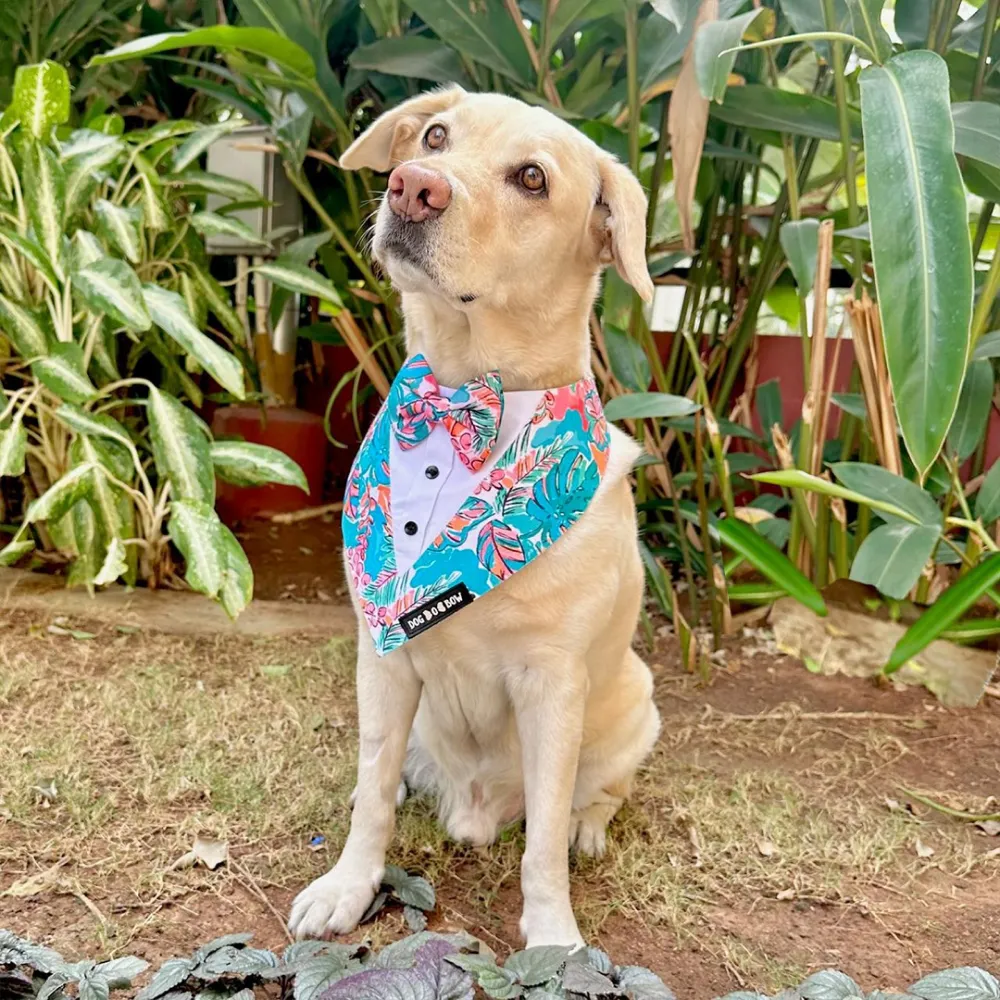 Dogobow Tropicana Print Tuxedo Bandana for Dogs (Blue)