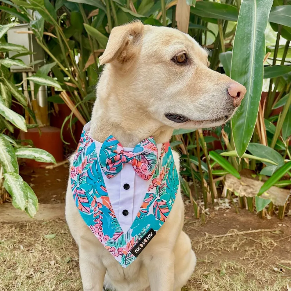 Dogobow Tropicana Print Tuxedo Bandana for Dogs (Blue)