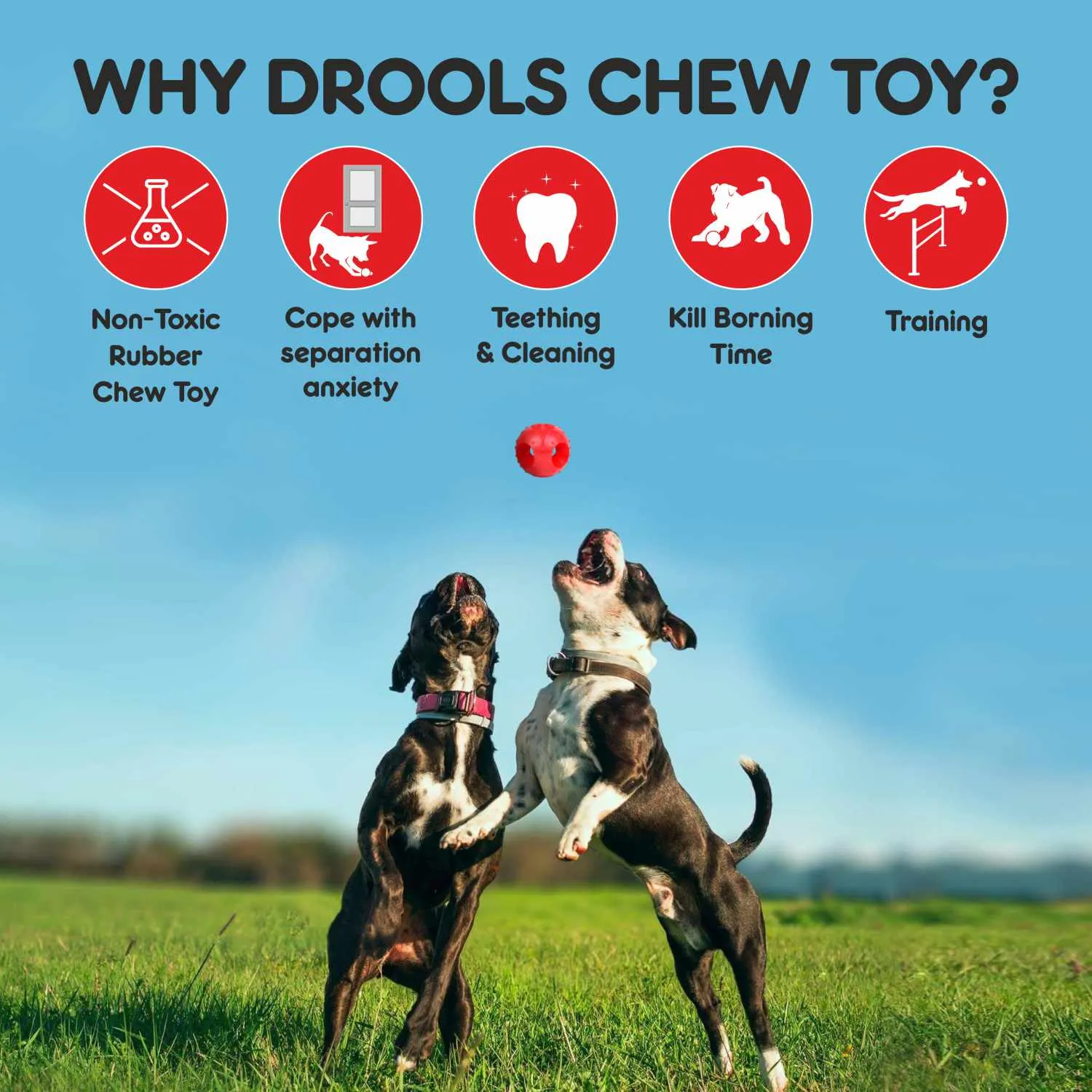Drools Hole Ball Teething & Pet Vogue Bone Rubber Chew Toy Dog Combo