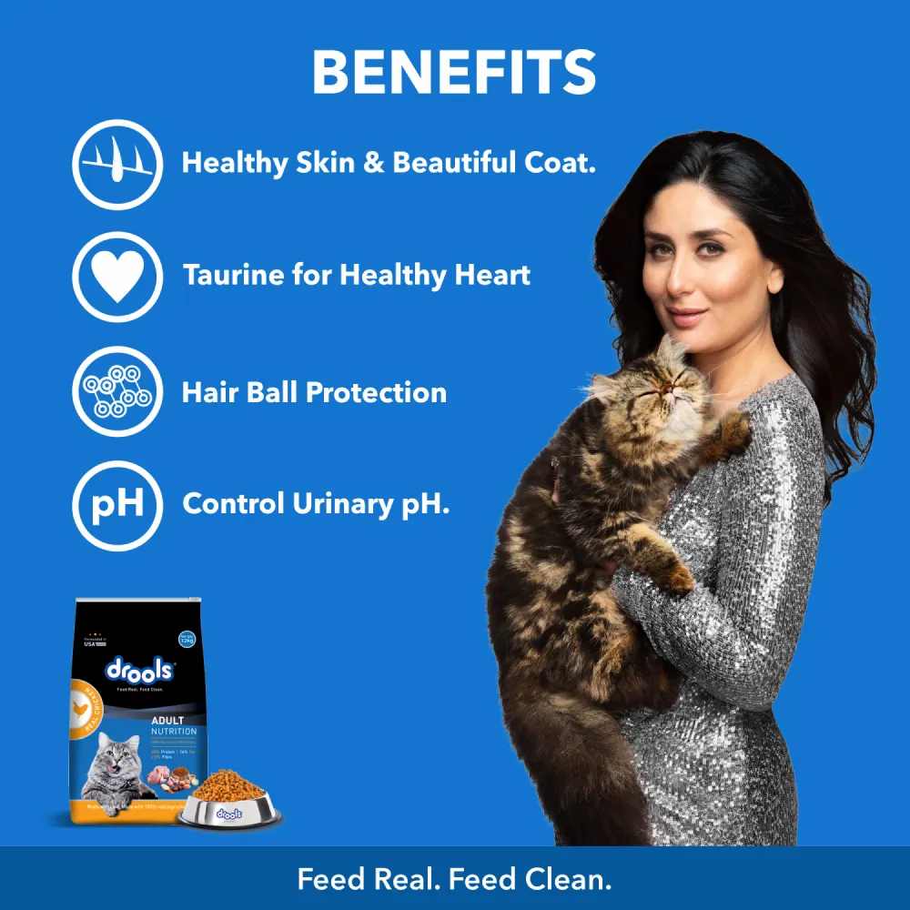 Drools Real Chicken Adult Cat Dry Food