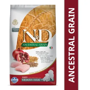 Farmina N&D Chicken & Pomegranate Ancestral Grain Puppy Medium Maxi Dog Dry Food  (Limited Shelf Life)
