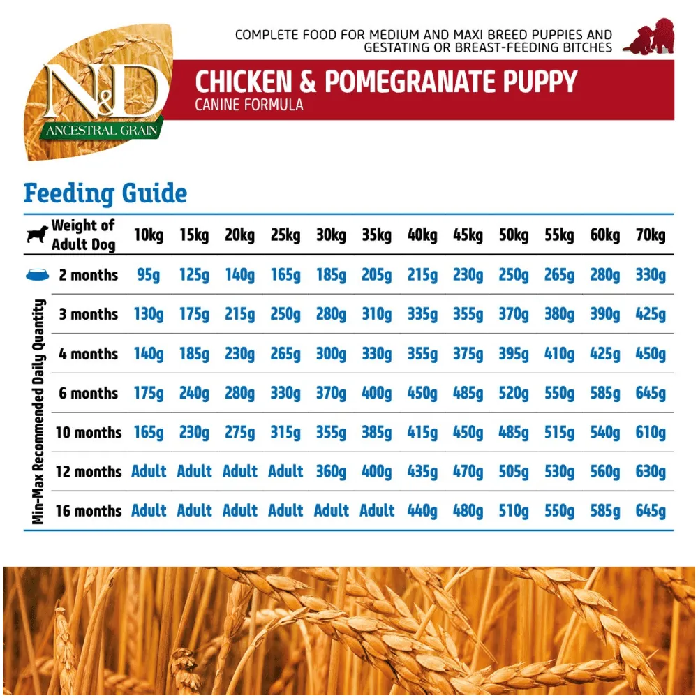 Farmina N&D Chicken & Pomegranate Ancestral Grain Puppy Medium Maxi Dog Dry Food  (Limited Shelf Life)