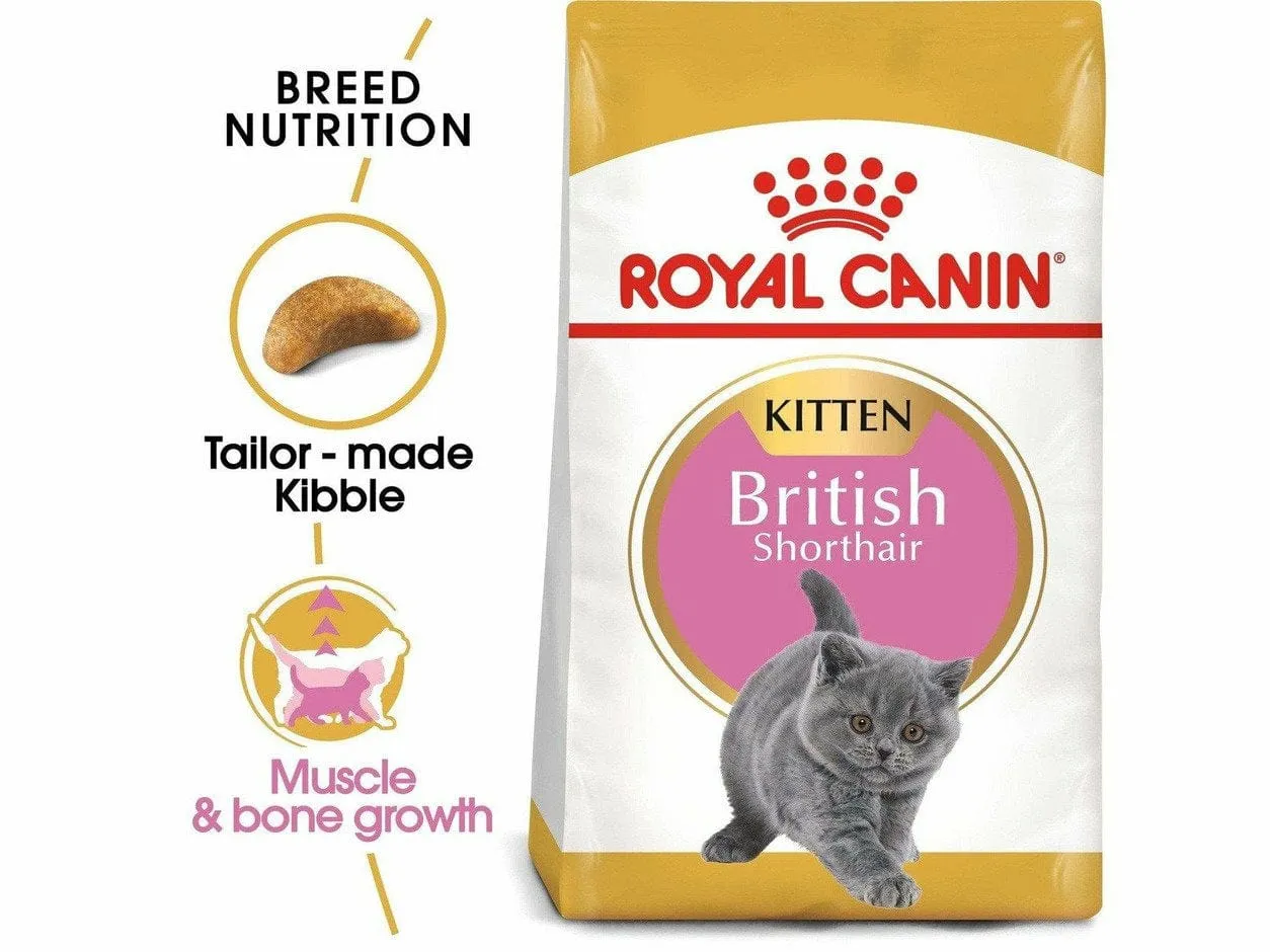 Feline Breed Nutrition British Shorthair Kitten 2 KG Pets Qatar