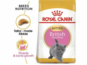 Feline Breed Nutrition British Shorthair Kitten 2 KG Pets Qatar