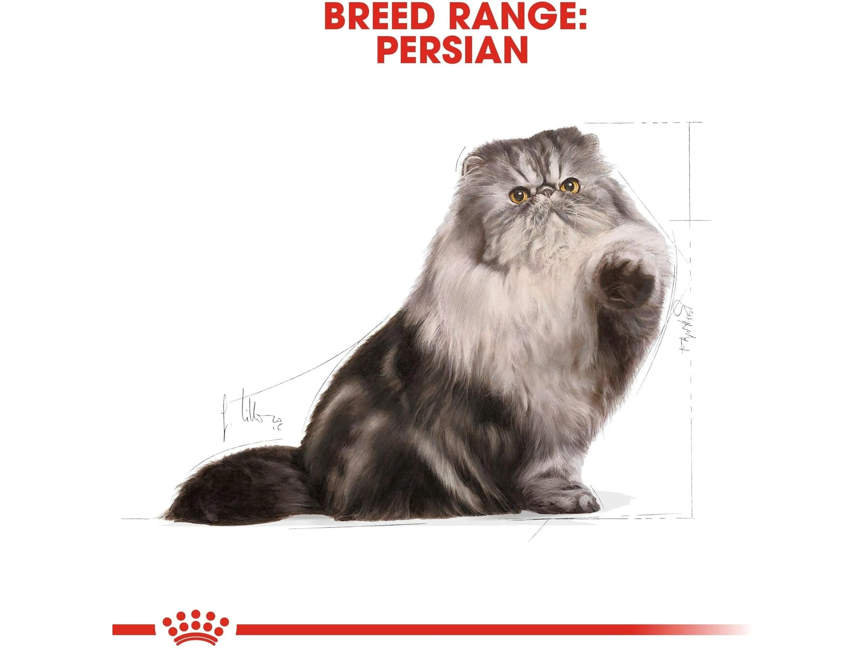 Feline Breed Nutrition Persian Adult 10 KG Pets Qatar