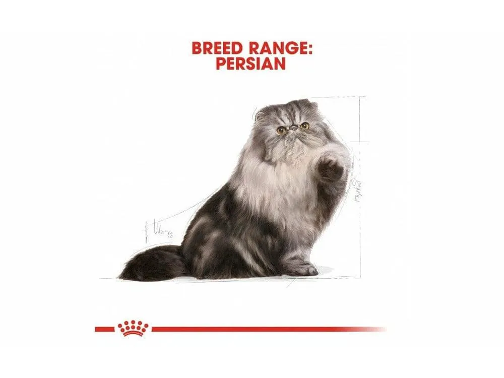 Feline Breed Nutrition Persian Adult 2 KG Pets Qatar