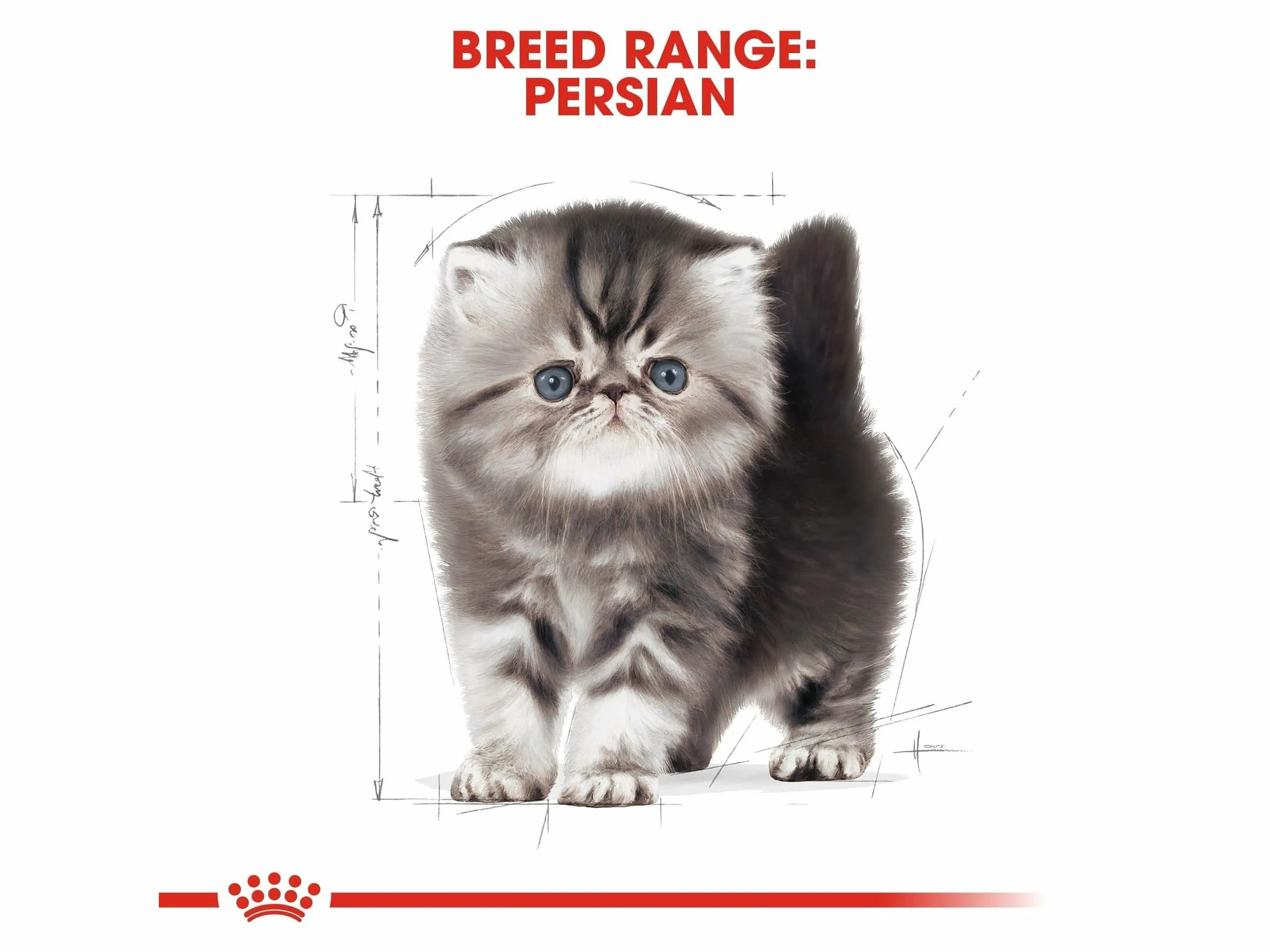Feline Breed Nutrition Persian Kitten 2 KG Pets Qatar