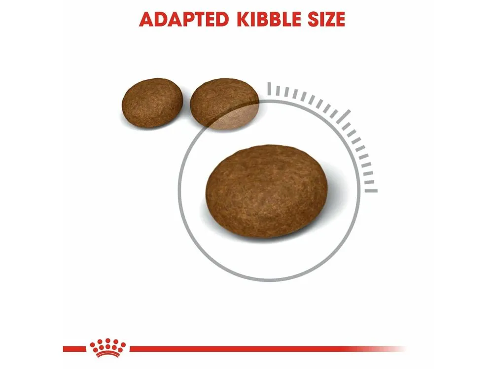 Feline Care Nutrition Hair & Skin 10 KG Pets Qatar