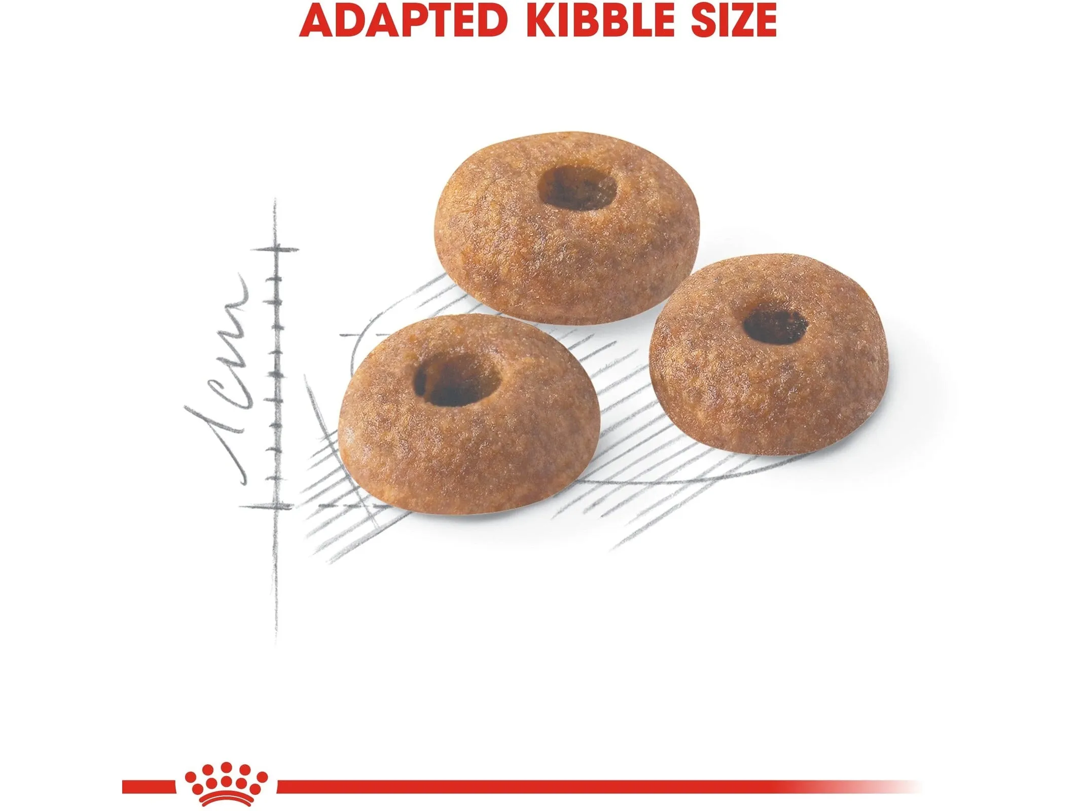 Feline Health Nutrition Fit 32 - 4 KG Pets Qatar