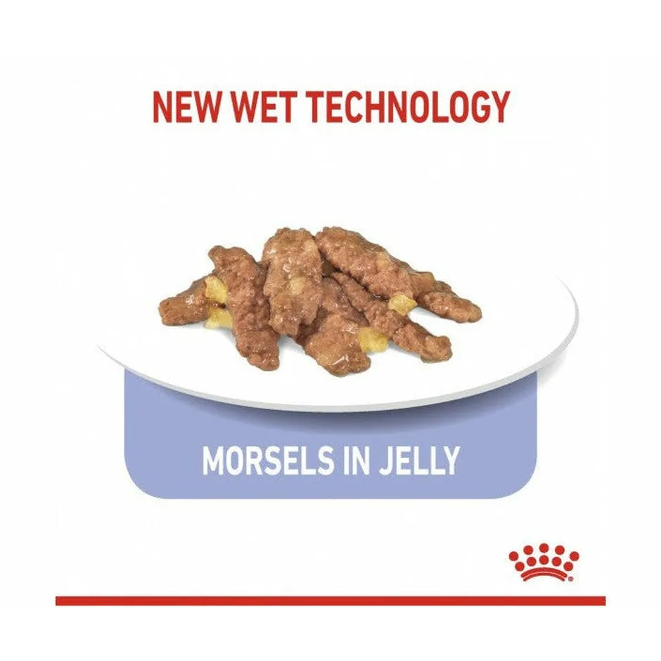 Feline Health Nutrition Indoor Jelly (Wet Food - 12X85G Pouches) Pets Qatar