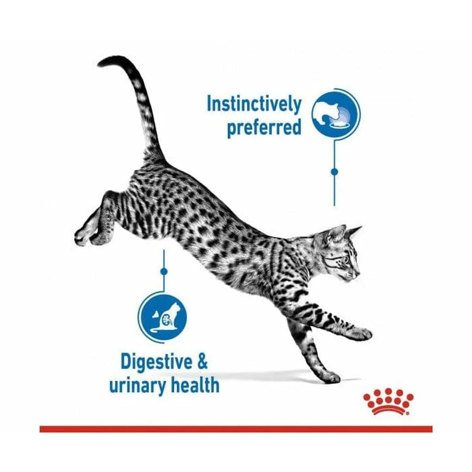 Feline Health Nutrition Indoor Jelly (Wet Food - 12X85G Pouches) Pets Qatar