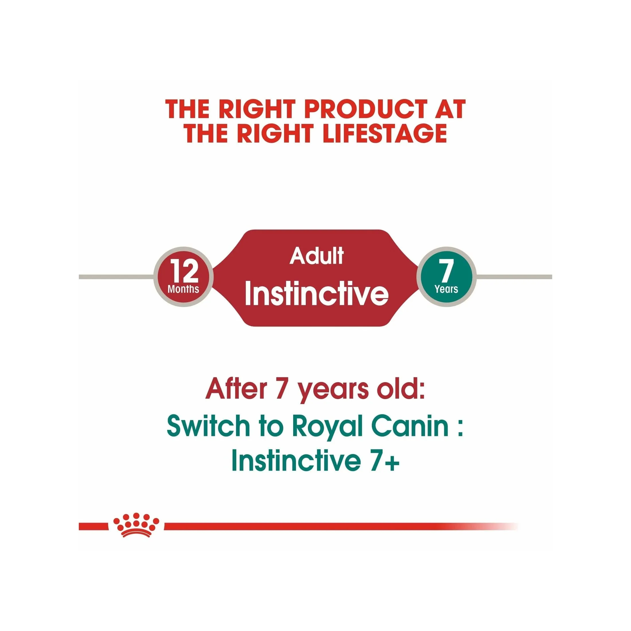 Feline Health Nutrition Instinctive Adult Cats Jelly (Wet Food - 12X85G Pouches) Pets Qatar
