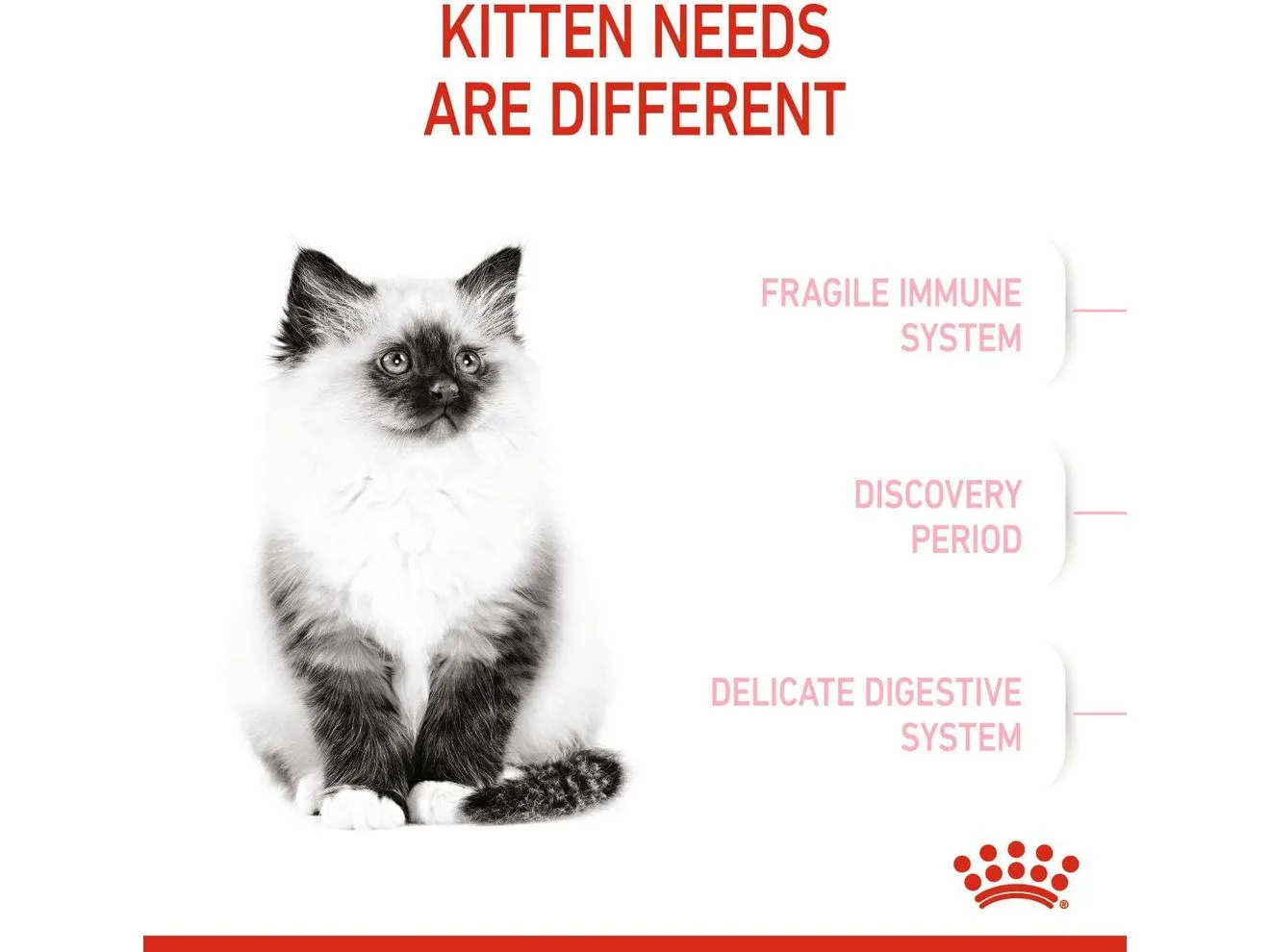 Feline Health Nutrition Kitten 10 KG Pets Qatar