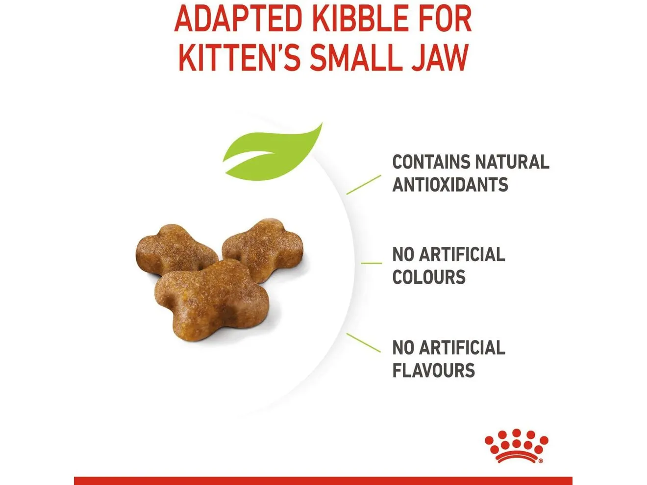 Feline Health Nutrition Kitten 10 KG Pets Qatar