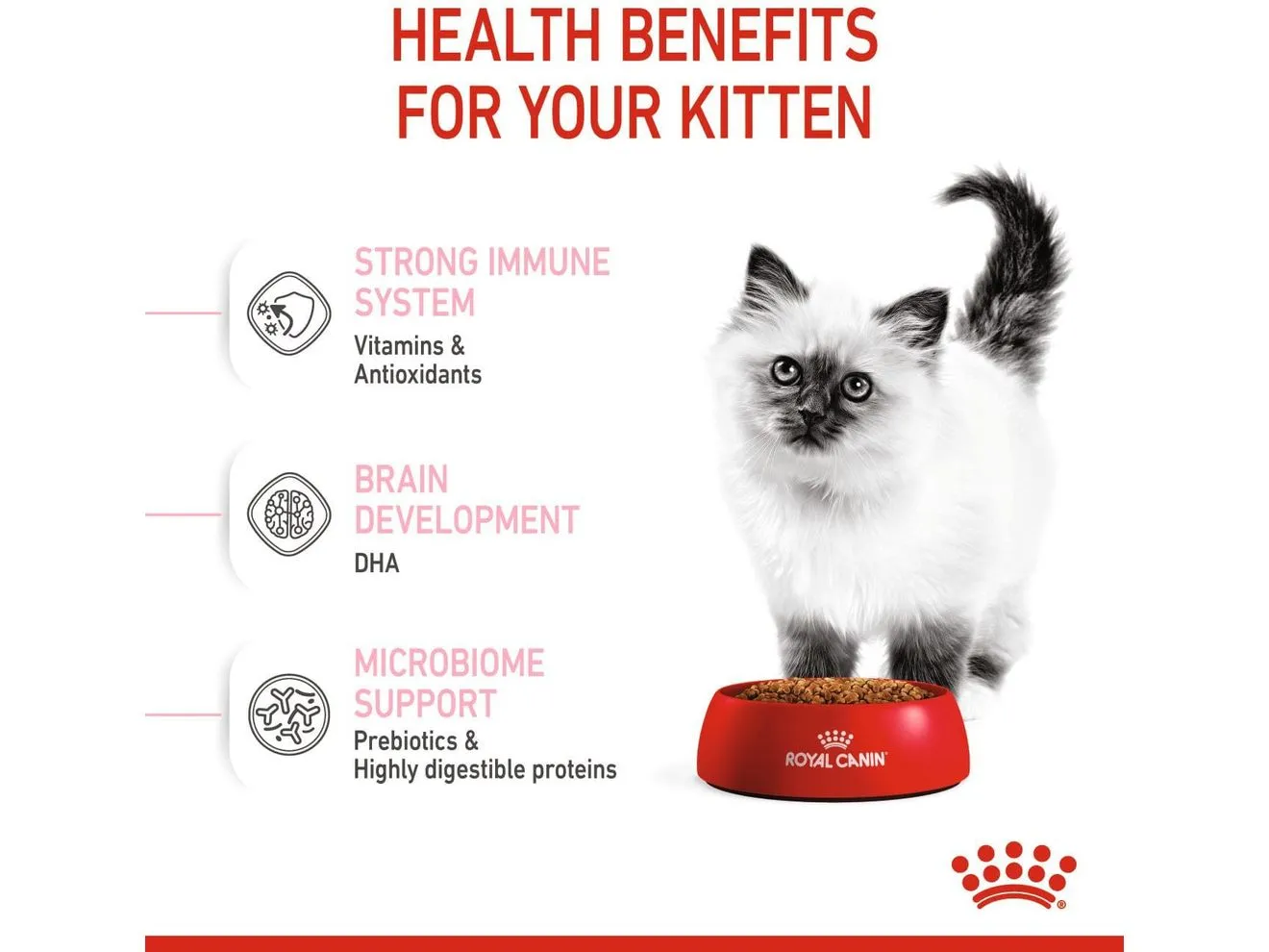 Feline Health Nutrition Kitten 10 KG Pets Qatar
