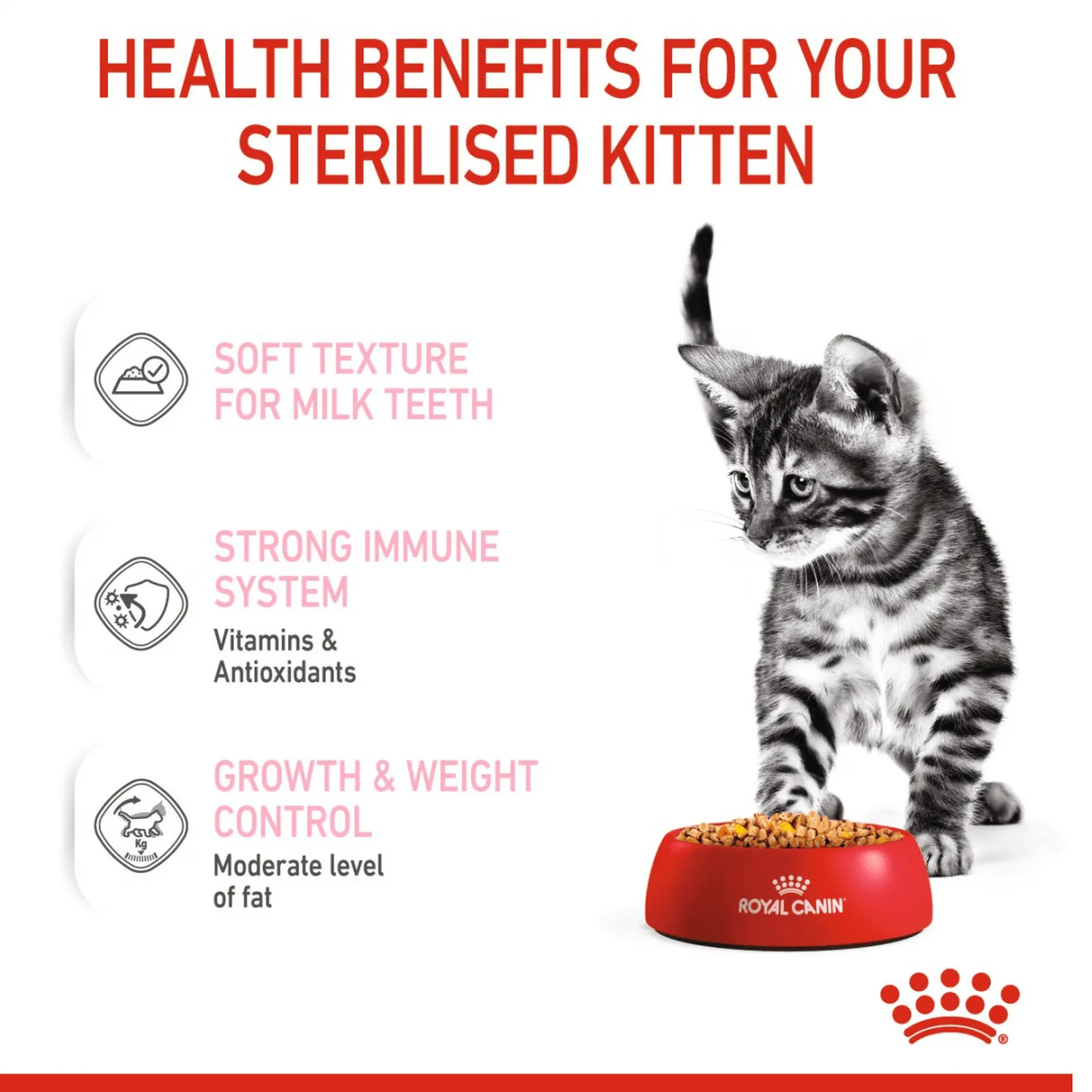 Feline Health Nutrition Kitten Sterilised Jelly 1x85g (WET FOOD - Pouches) Pets Qatar