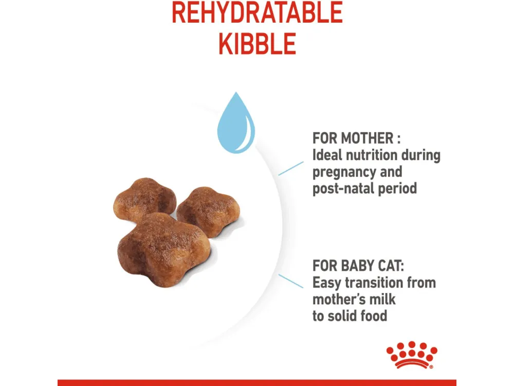 Feline Health Nutrition Mother & Babycat 10 Kg Pets Qatar