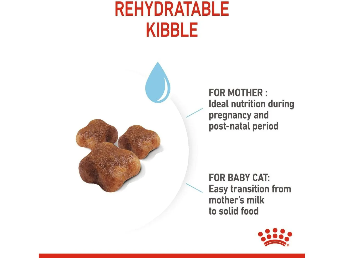 Feline Health Nutrition Mother & Babycat 4 KG Pets Qatar