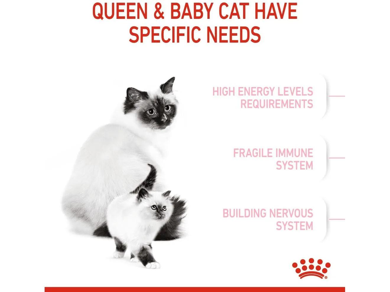 Feline Health Nutrition Mother & Babycat 4 KG Pets Qatar