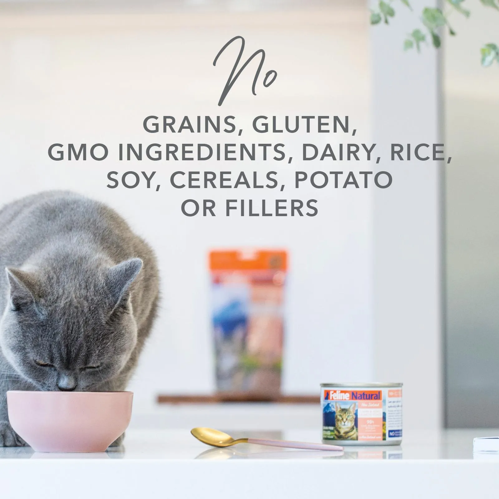 Feline Natural Chicken Feast Wet Cat Food 170g ( _ )