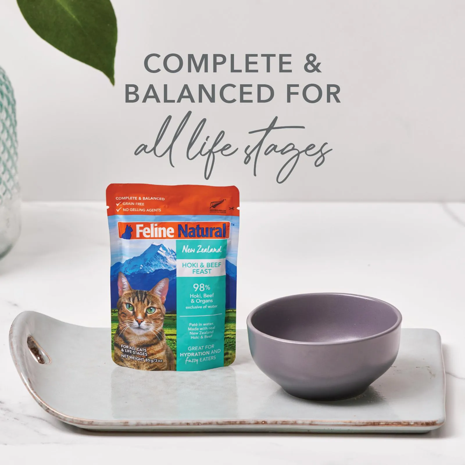 Feline Natural Variety Box Wet Cat Food 85g x 12 ( _ )