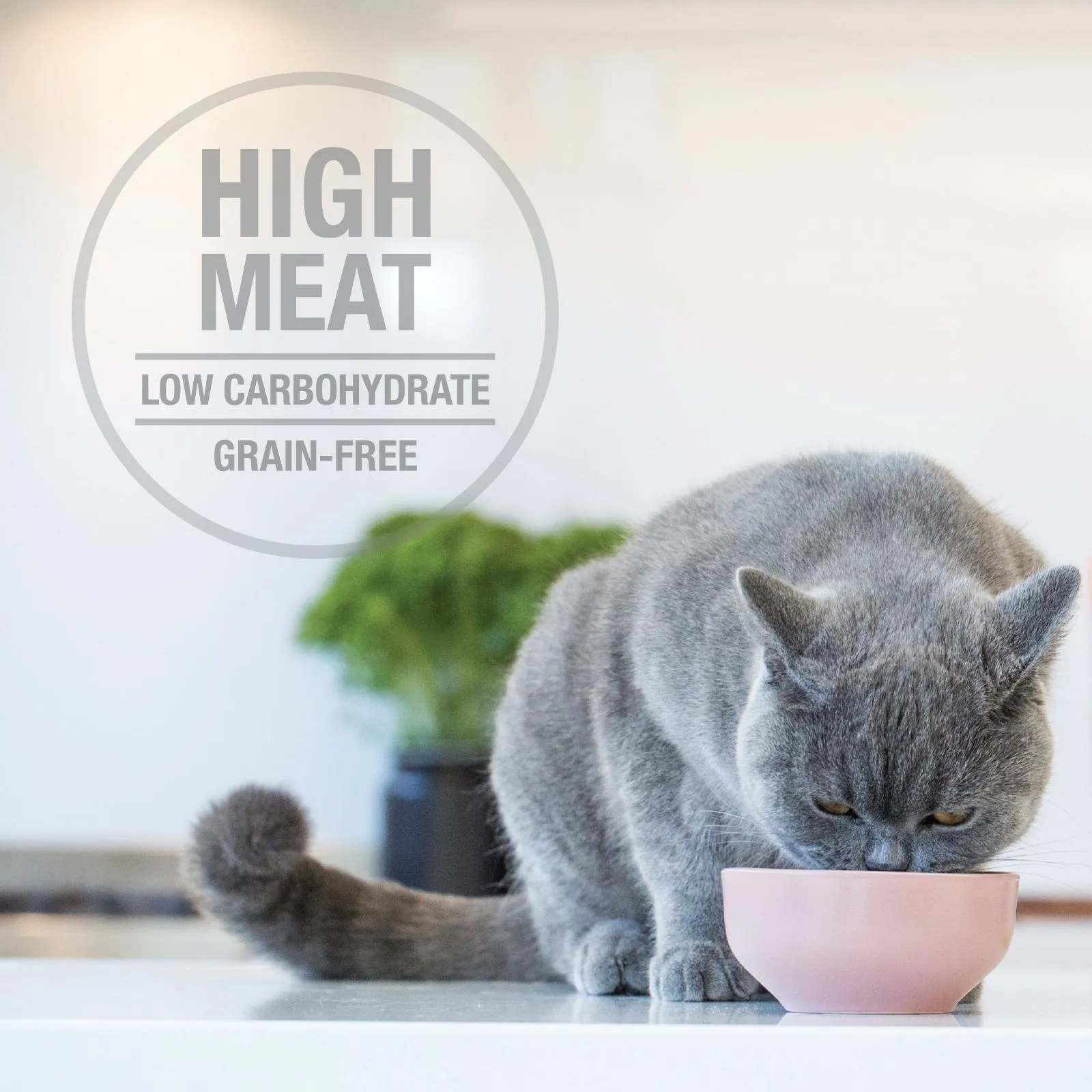 Feline Natural Variety Box Wet Cat Food 85g x 12 ( _ )