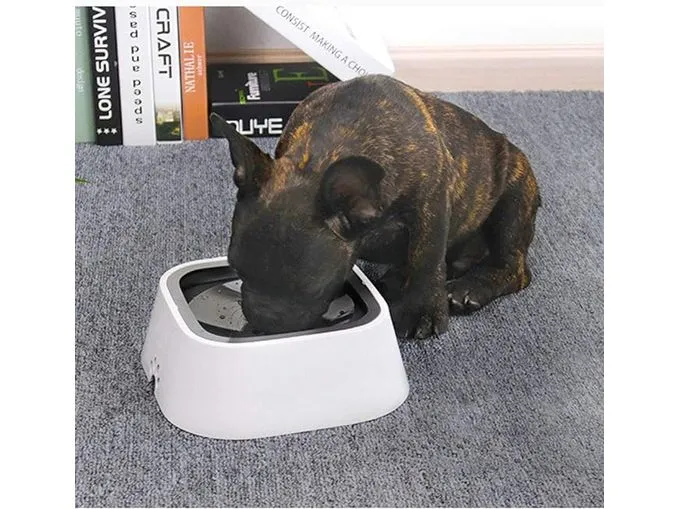 floating bowl-185*225*78mm Pets Qatar