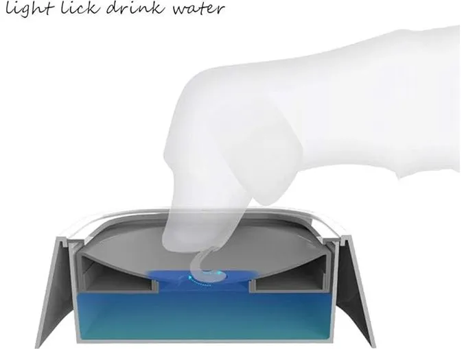 Floating Bowl Upgrade 2L-255*255*90mm Pets Qatar