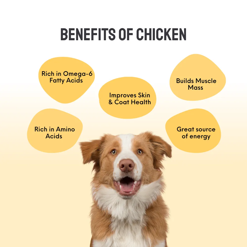Floof & Co Pork Chew, Bacon Cheese, Chicken Cheese, Roasted Lamb and Smoked Lamb Dog Treats Combo