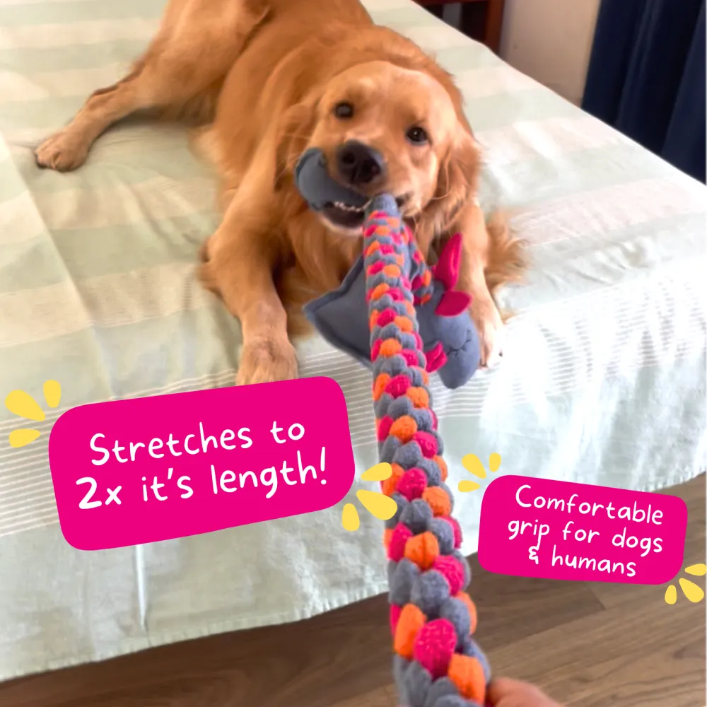 For The Love Of Dog Mrs Tugasaur Squeaky Toy for Dogs (Pink/Green/Grey)