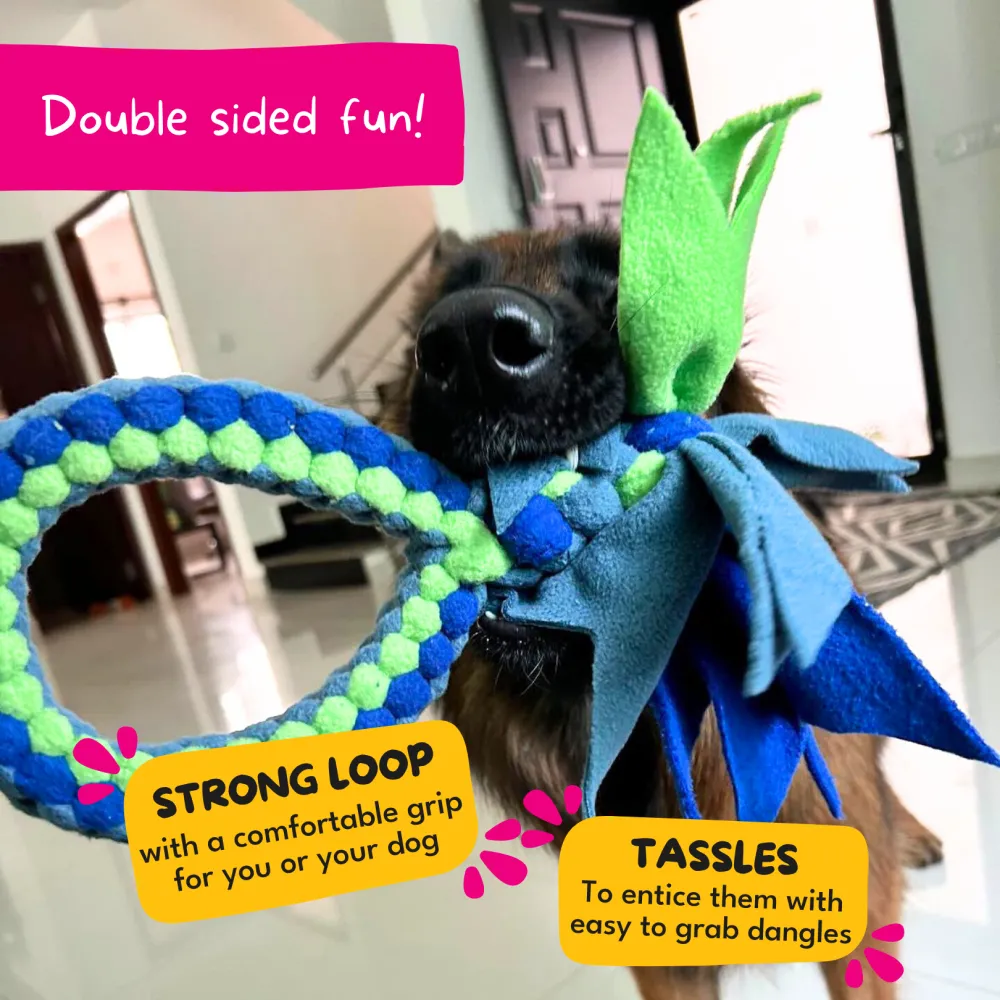 For The Love Of Dog Tug O Loop Chew Toy for Dogs (Blue/Green)