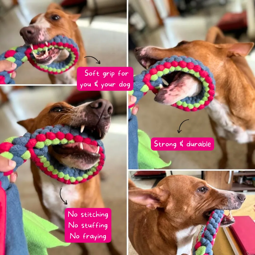 For The Love Of Dog Tug O Loop Chew Toy for Dogs (Pink/Green/Blue)