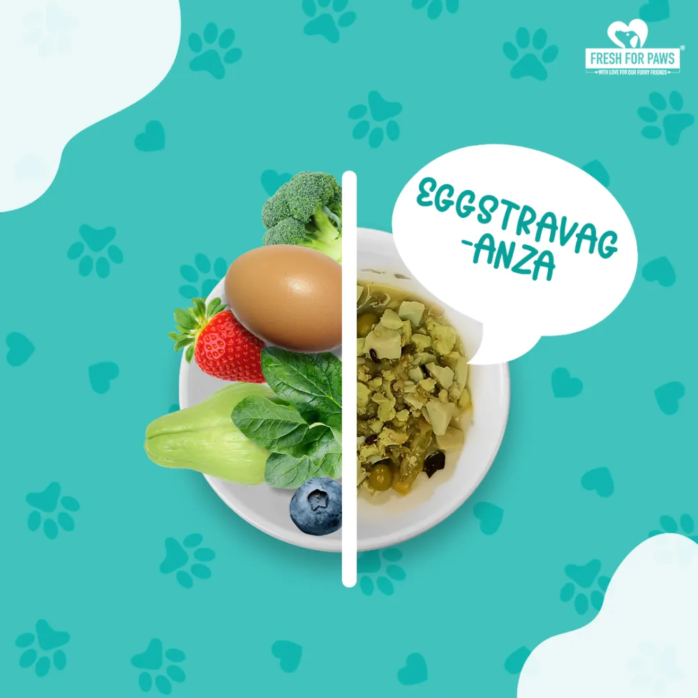 Fresh For Paws Eggstravaganza Dog Wet Food (300g)