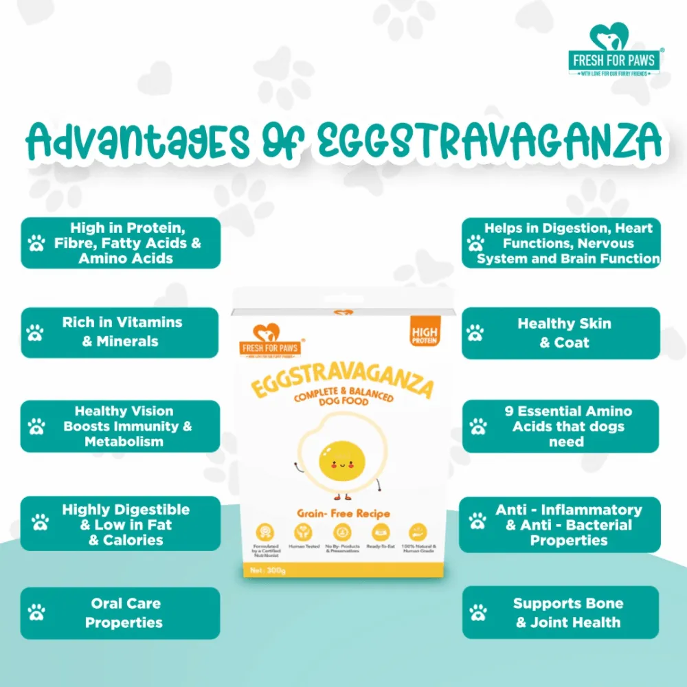 Fresh For Paws Eggstravaganza Dog Wet Food (300g)