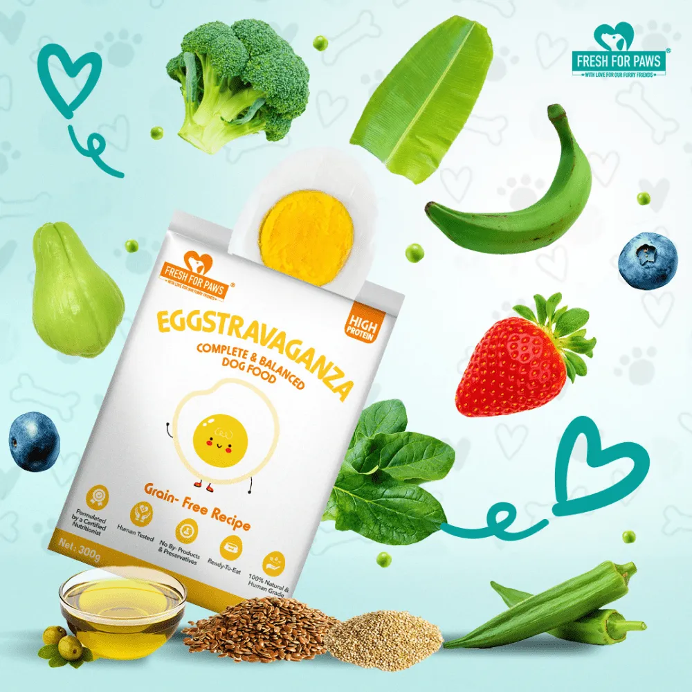 Fresh For Paws Eggstravaganza Dog Wet Food (300g)