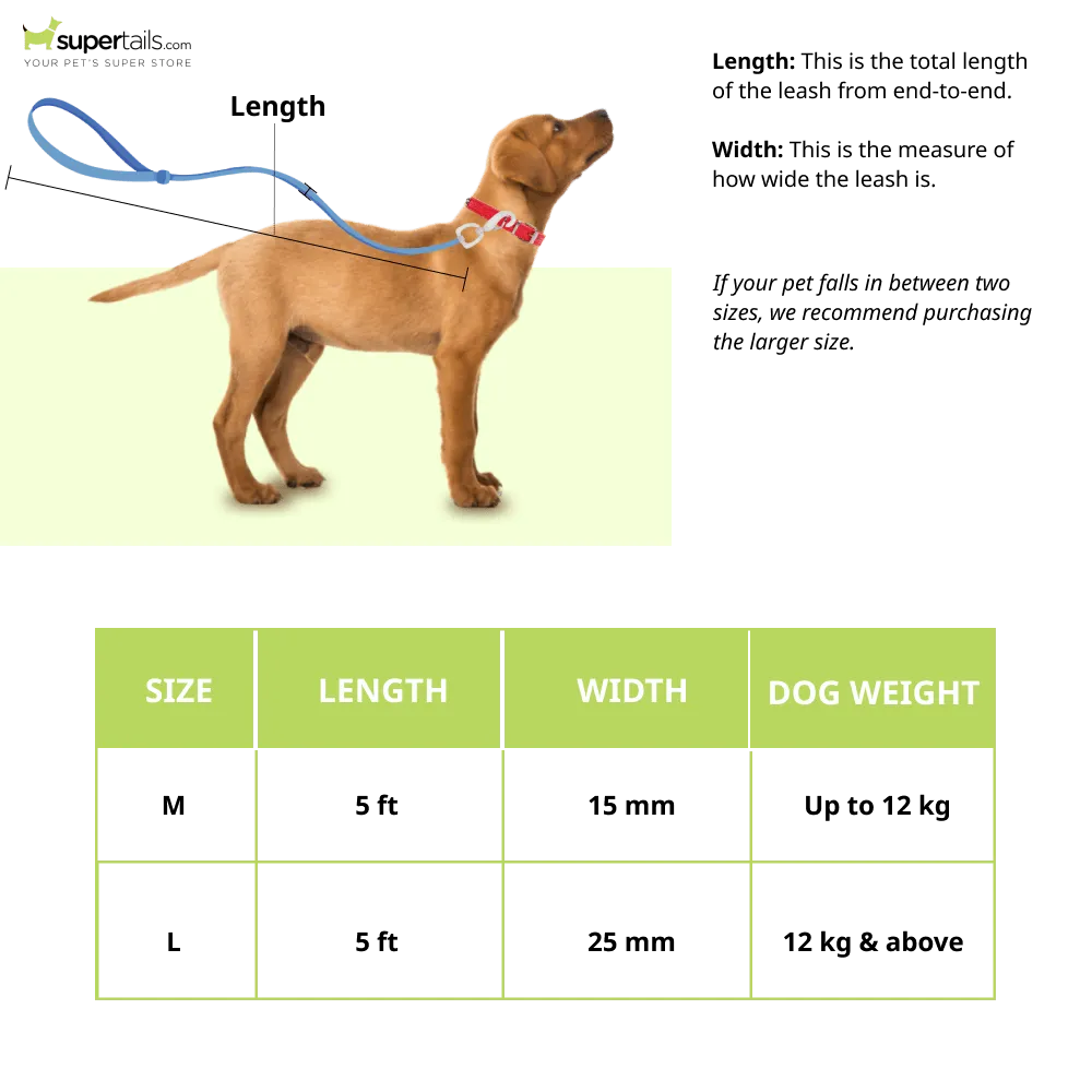 Furry & Co Raining Rainbows Comfort Leash for Dogs
