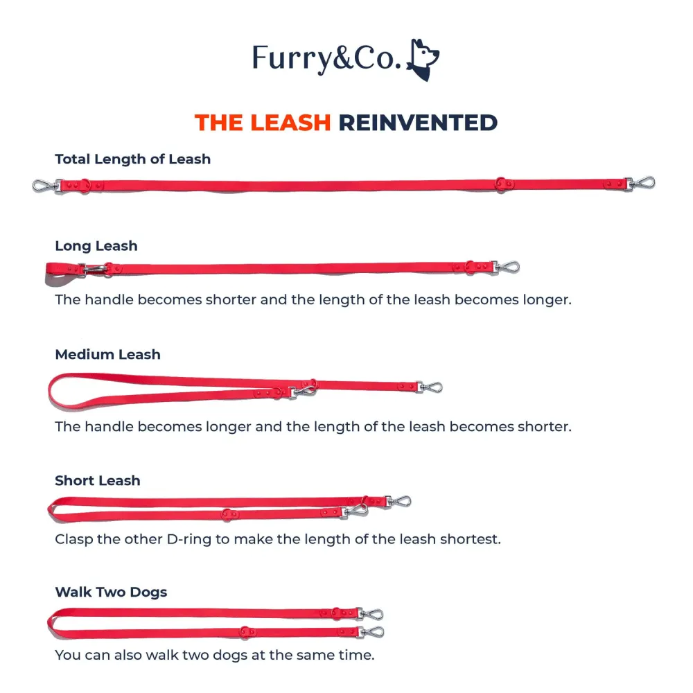 Furry & Co Weatherproof Leash for Dogs (Indigo Blue)