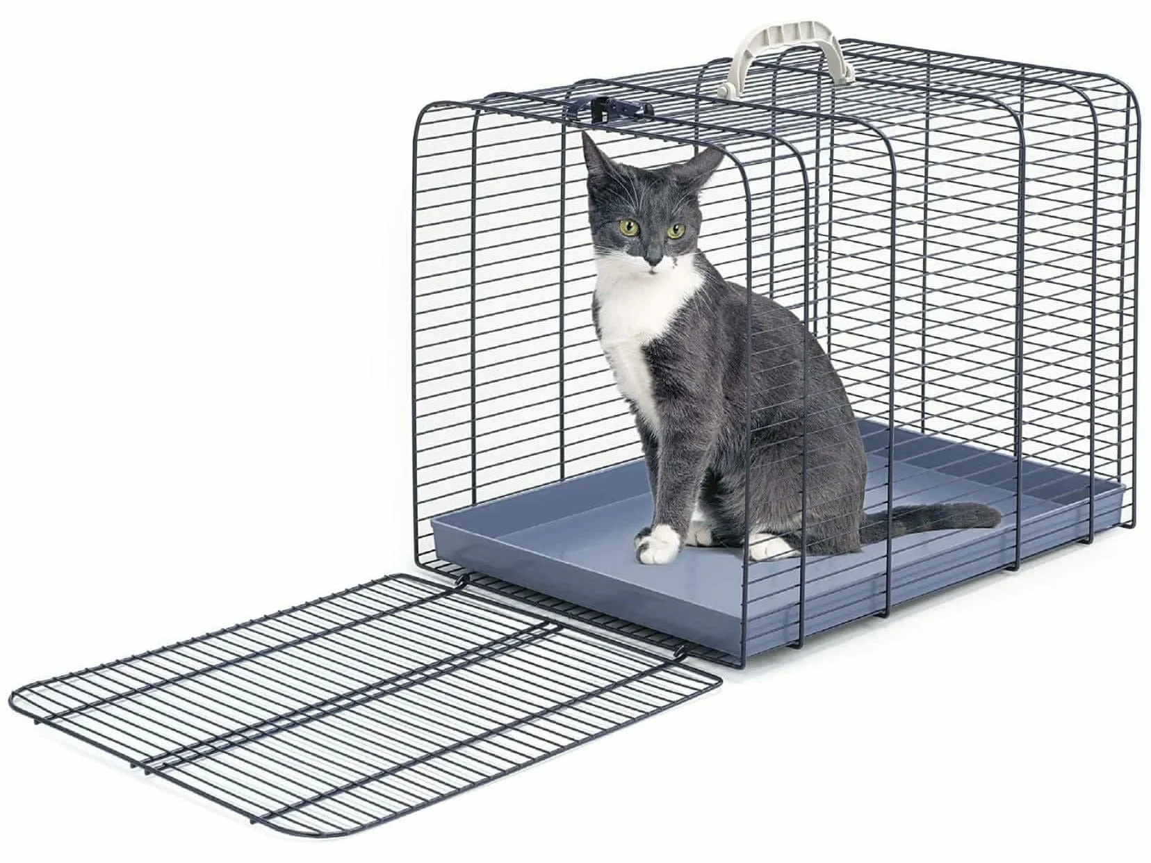 Gabbia Trasporto Gatto 3 Blu/Ghiaccio Pets Qatar