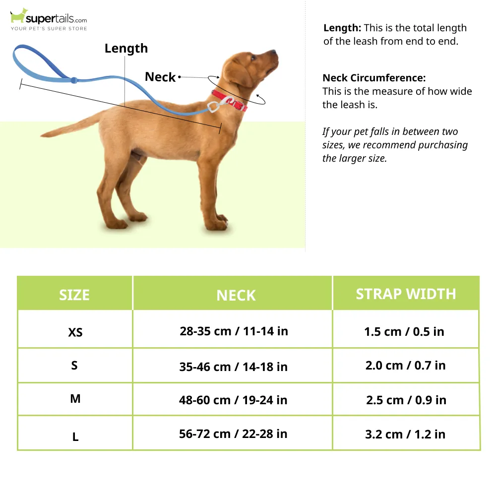 Glucklich Martingale Printed Adjustable Collar for Dogs (Dark Night)