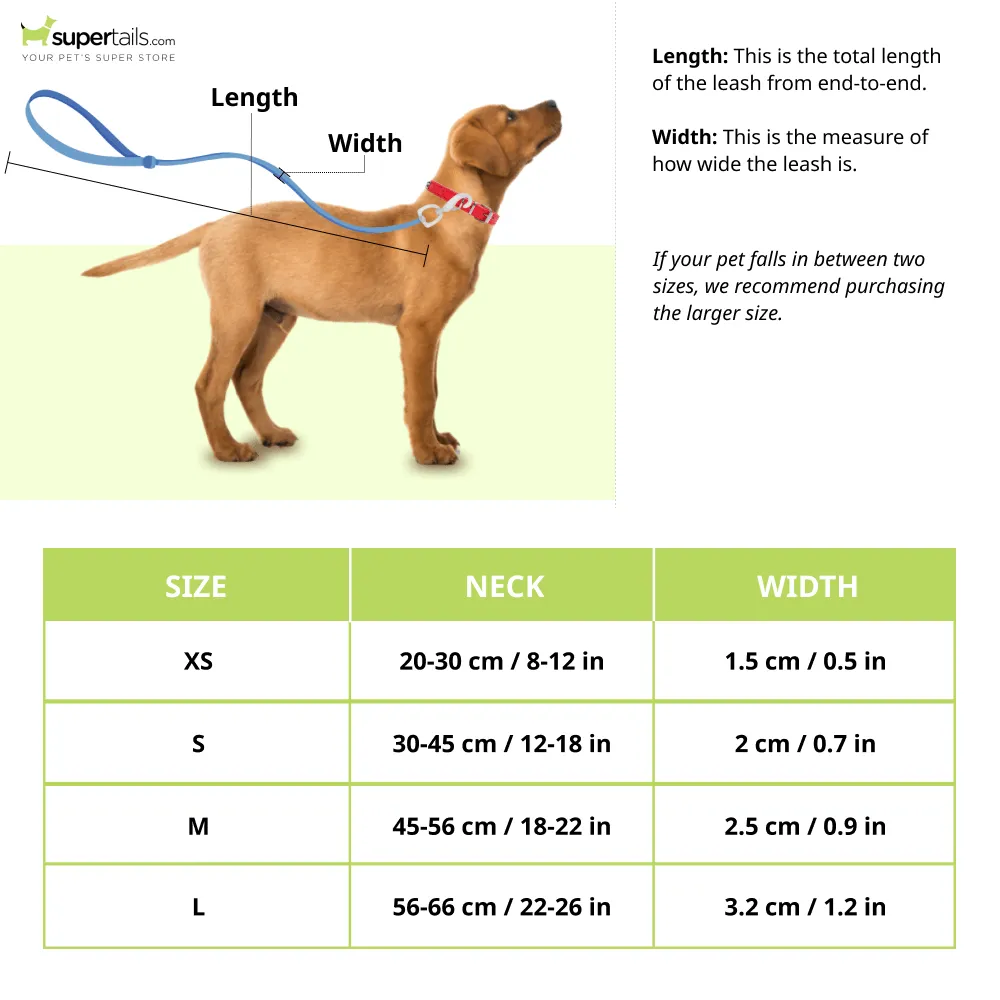 Glucklich Polyester Printed Adjustable Collar for Dogs (Berlin)
