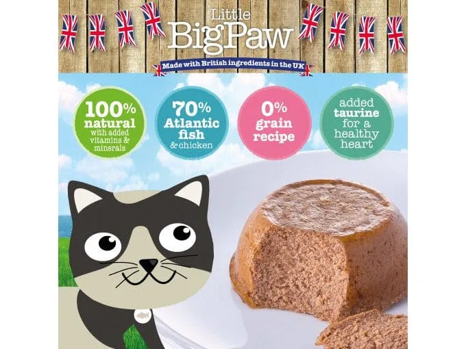 Gourmet Atlantic Salmon Mousse 8x85 Gram /Little BigPaw Pets Qatar