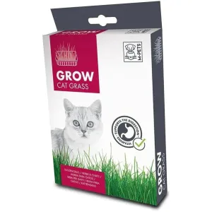 GROW CAT GRASS Pets Qatar